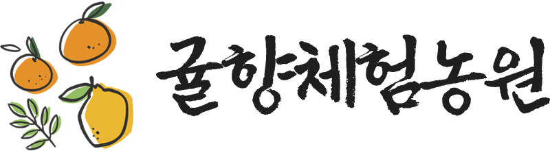 제주감귤체험